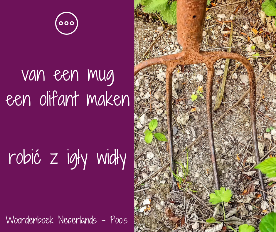 Wat is de betekenis van