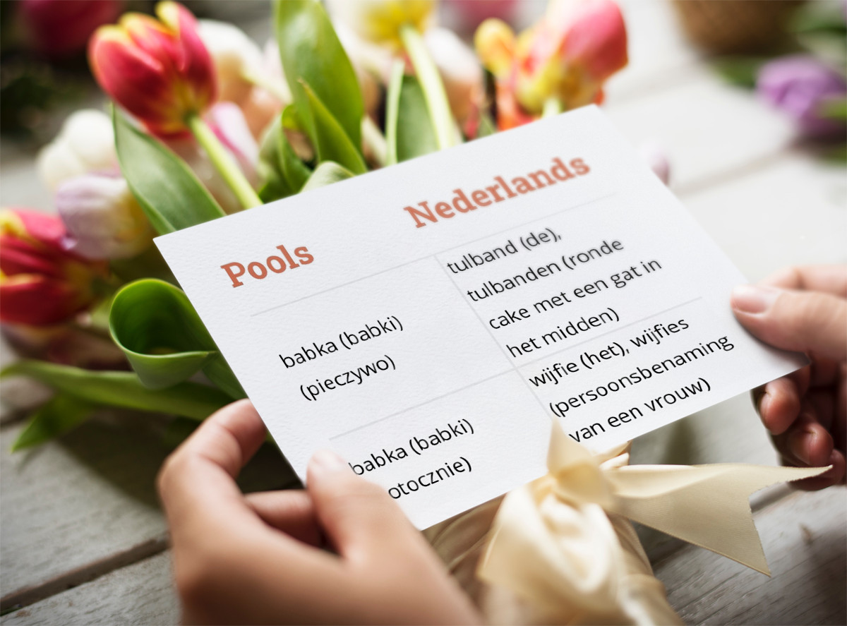 Een woord, meerdere betekenissen. | Woordenboek Nederlands - Pools